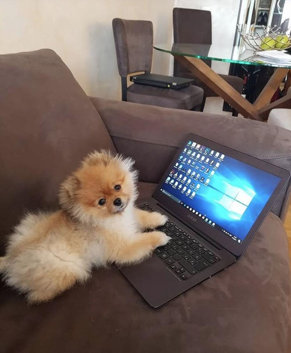 <p>Oni važe za jedan od najskladnijih parova na domaćoj javnoj sceni, a svoj topli kutak svili su daleko od očiju javnosti.</p>