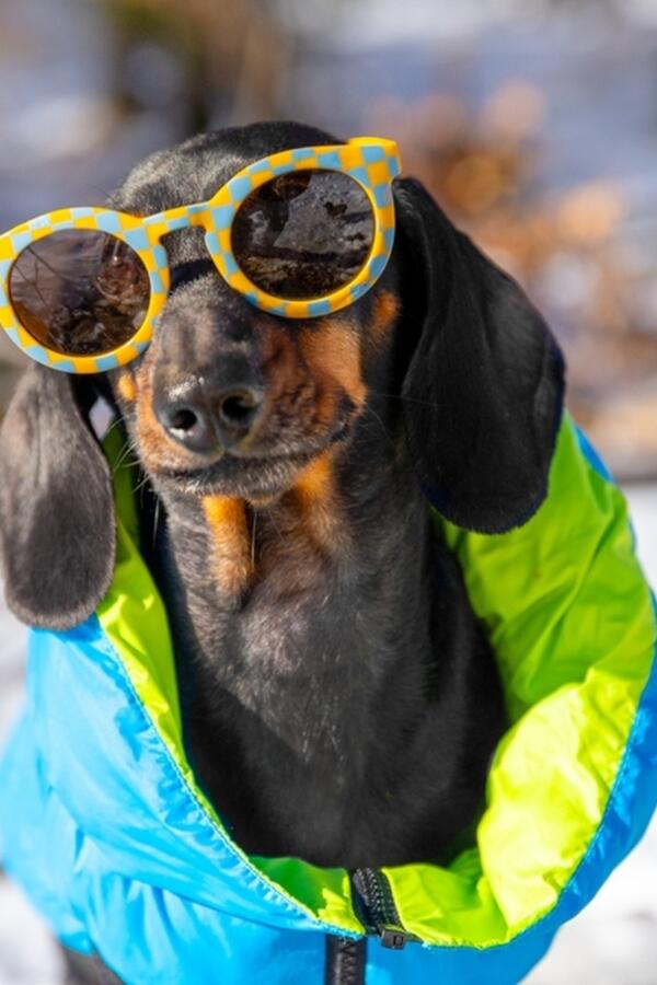 Dnevni horoskop za 15. decembar: Nakon teskobe Rakovima će da "svane", Ribama se smeši novo poznanstvo