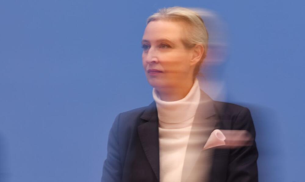 Alis Vajdel postigla je ogroman uspeh s Alternativom za Nemačku