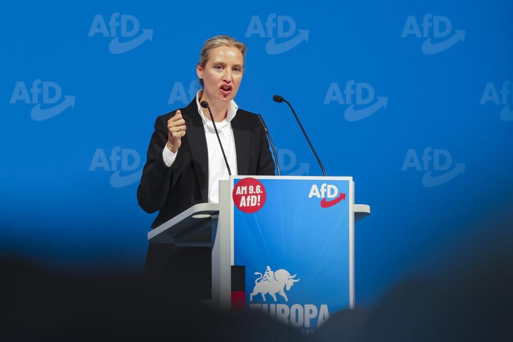 Alis Vajdel postigla je ogroman uspeh s Alternativom za Nemačku