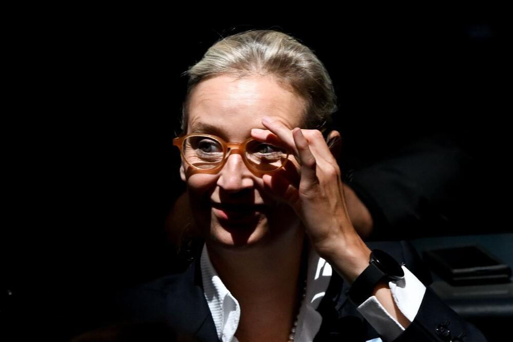 Alis Vajdel postigla je ogroman uspeh s Alternativom za Nemačku