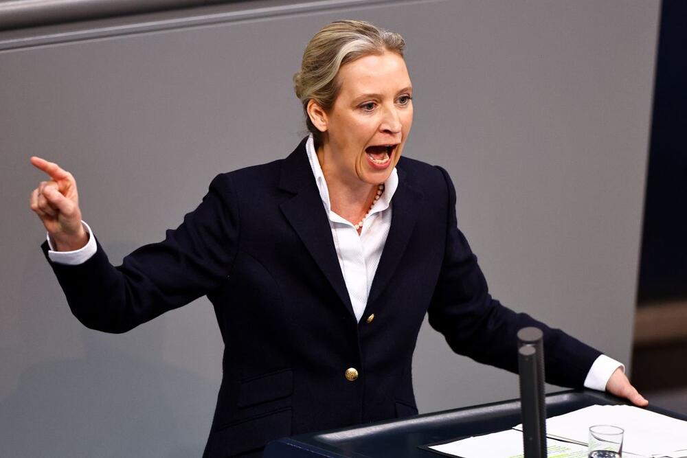 Alis Vajdel postigla je ogroman uspeh s Alternativom za Nemačku