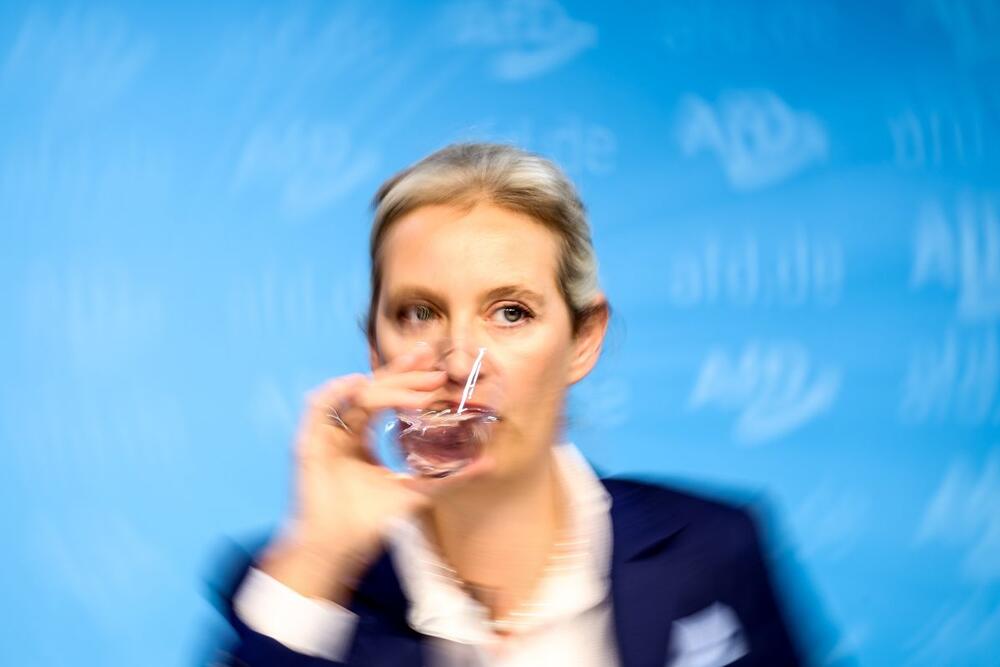 Alis Vajdel postigla je ogroman uspeh s Alternativom za Nemačku