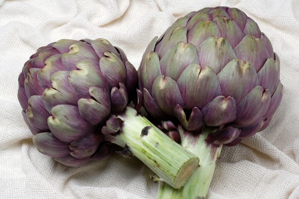 foto: Peter Scholey / Alamy / Profimedia