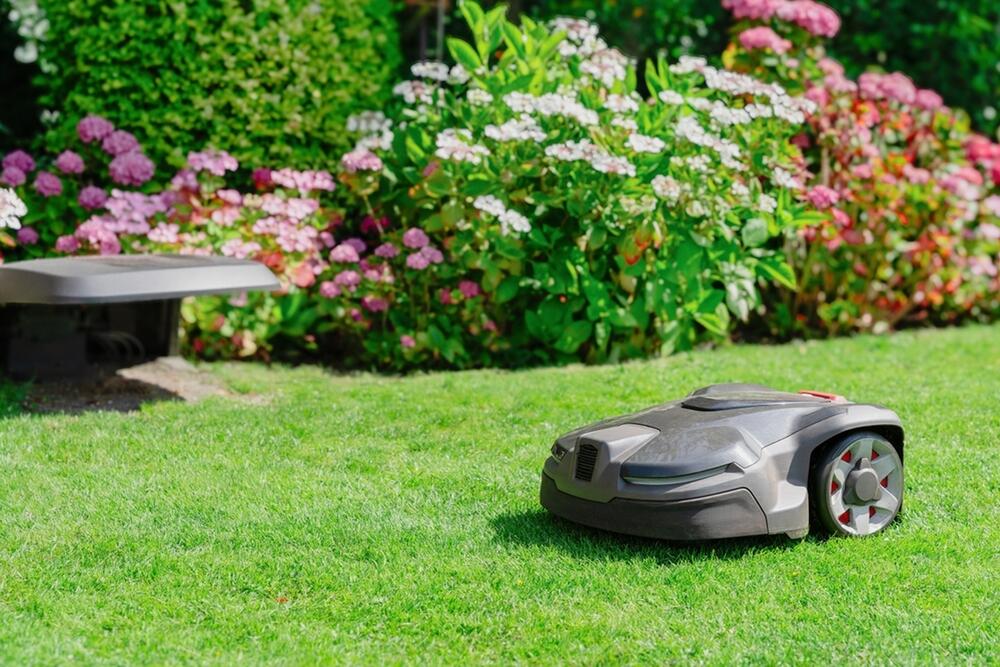 SAVETI ZA NEGU TRAVE NAKON ZIME 