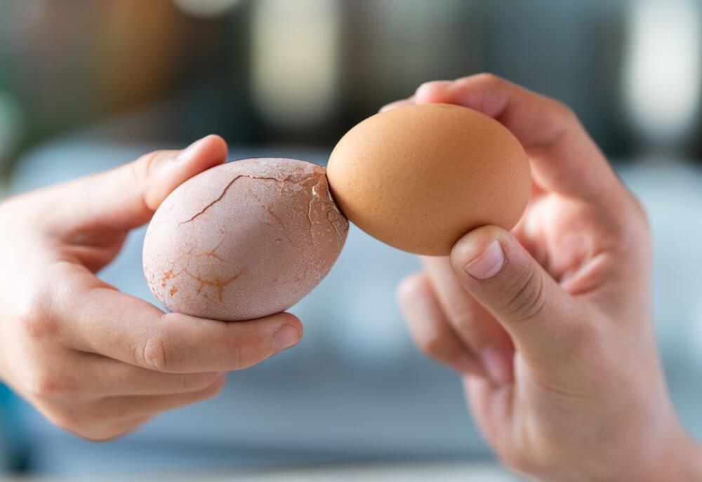 foto: Melnikov Dmitriy/Shutterstock