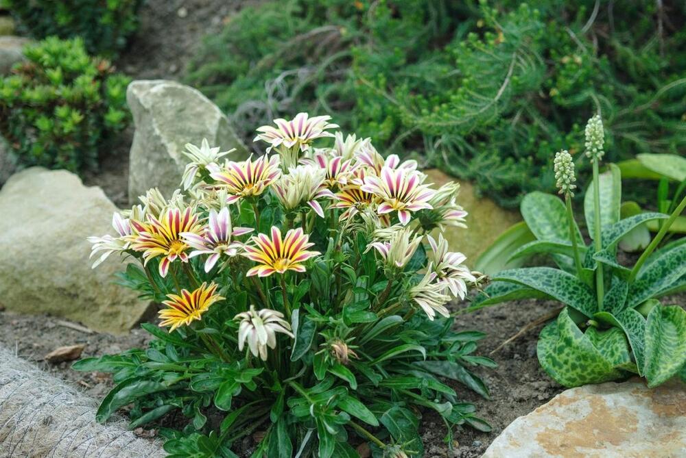 foto: Müller / McPhoto / Alamy / Profimedia