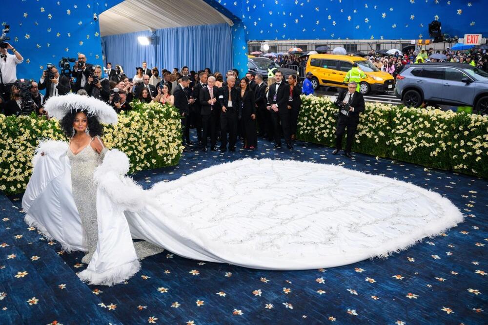 <p>Pevačica Dajana Ros se na Met galu vratila nakon 22 godine u velikom stilu.</p>