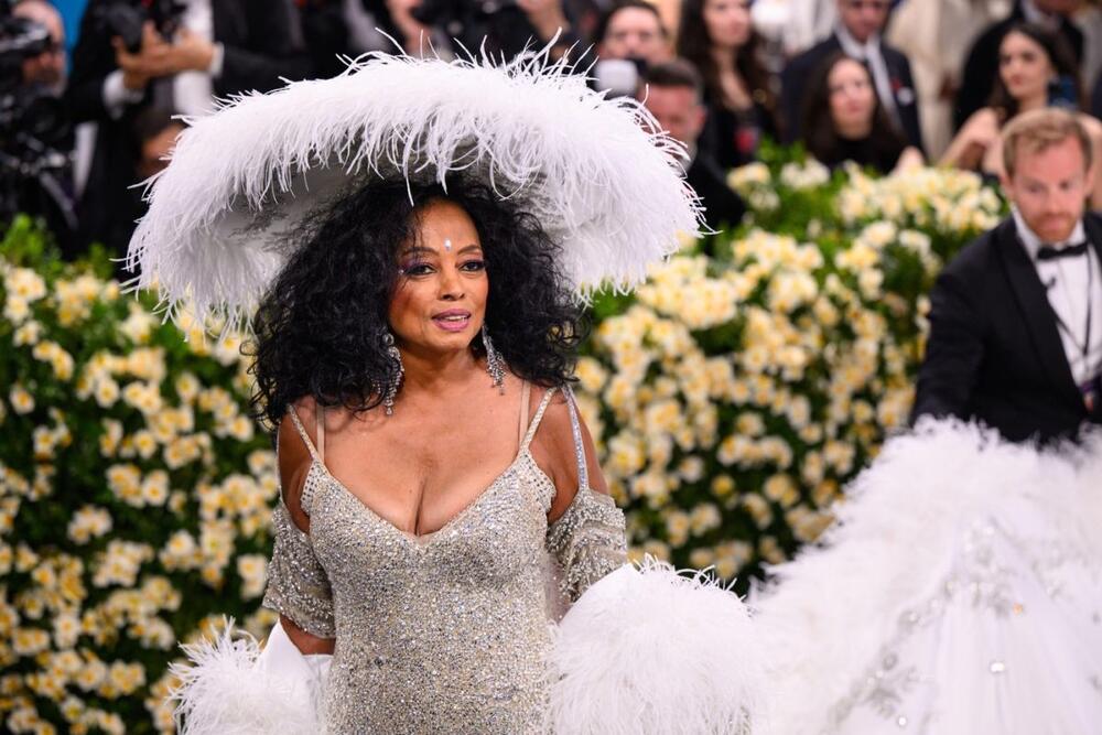 <p>Pevačica Dajana Ros se na Met galu vratila nakon 22 godine u velikom stilu.</p>