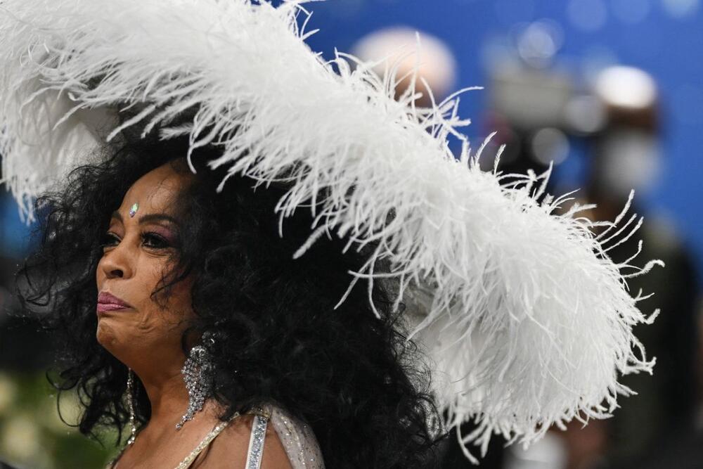 Dajana Ros je maltene bukvalno povela svoju porodicu na Met galu