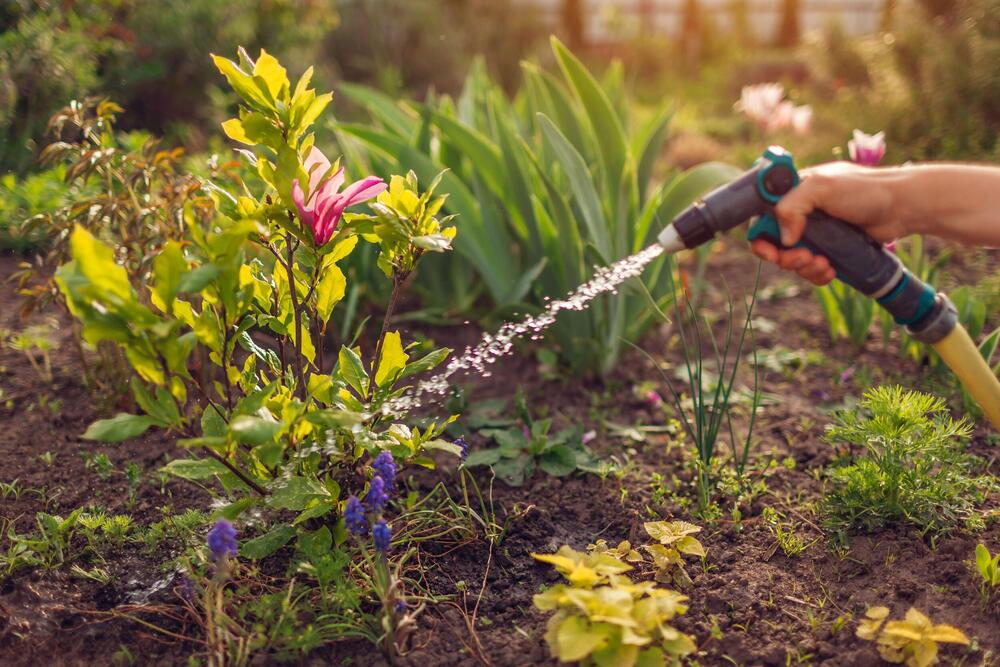 foto:  Mariia Boiko / Alamy / Profimedia