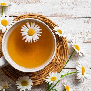 Kako čaj od kamilice koristiti kao đubrivo? Vaše cveće će biti zdravo, bujno i visoko, ali samo ga koristite ovako