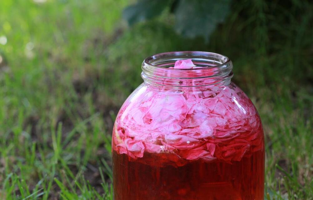 Priprema soka od ružinih latica u staklenoj tegli