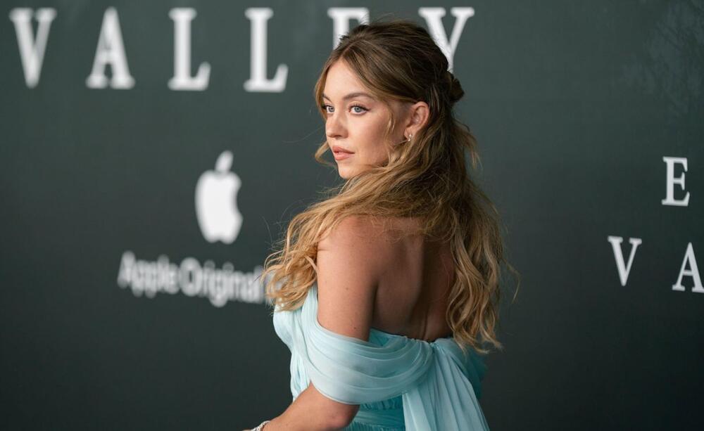 SIdni Svini u plavoj elegantnoj haljini 