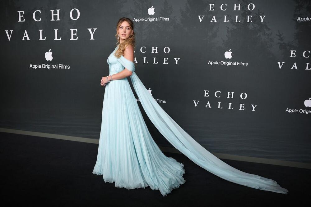 <p>Glumica se pojavila u kreaciji koja je oličenje glamura i elegancije i koja podseća na izgled princeze.</p>