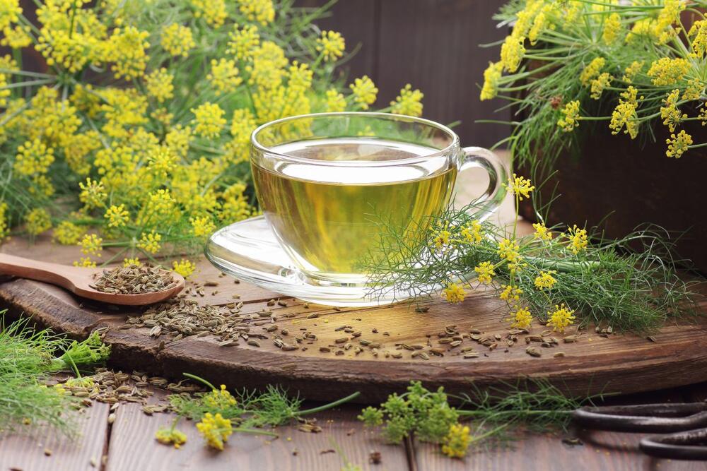 Čaj od semena morača