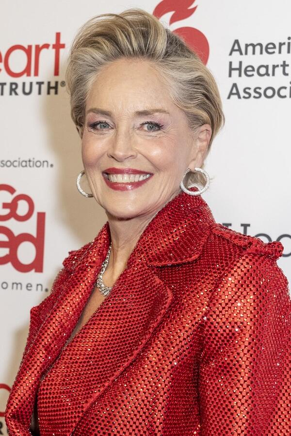 Iz srca Balkana pravo pred modnu ikonu: Šeron Stoun nosi komad sa potpisom lepotice sa Balkana i košta papreno