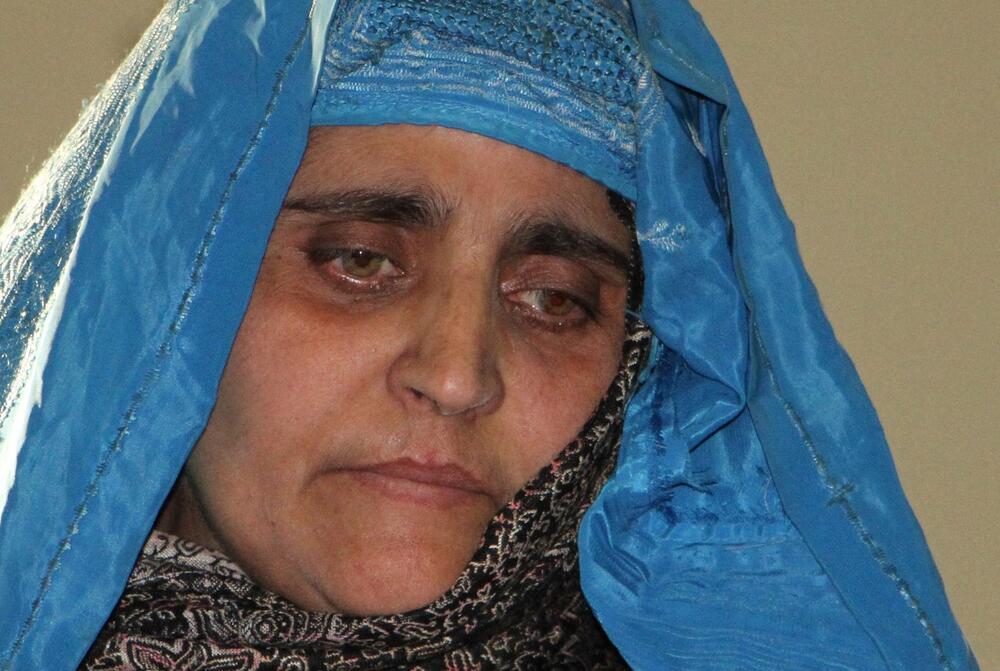 Šarbat Gula 2016- godine