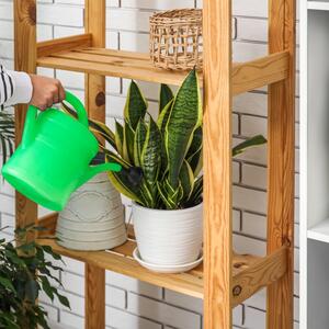 Sobne biljke za čistiji vazduh i lepši enterijer: 15 božanstvenih vrsta za koje NASA kaže su efikasnije od ostalih