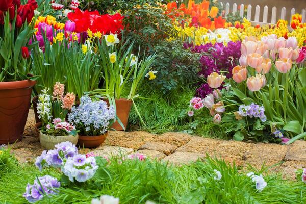 Mraz im ne može ništa, obnavljaju se same, mirišu na kilometar: 7 starinskih sorti cveća koje su ponovo u modi