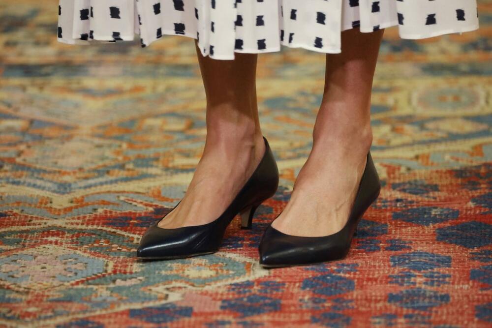 <p>Španska kraljica Leticija je poznata po recikliranju haljina, a ovu je juče obukla po šesti put. I to sa razlogom. Jer uvek pruža prefinjen i elegantan izgled.</p>