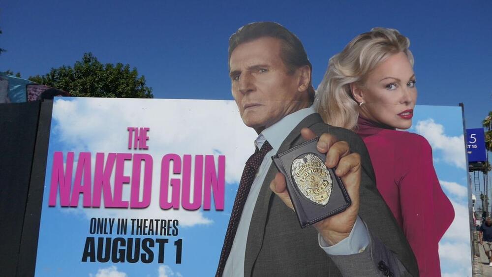 Lijam Nison, Pamela Anderson