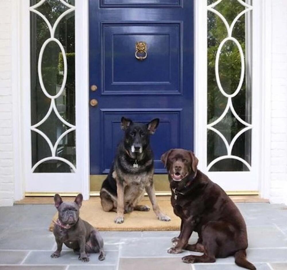 Tamnoplava vrata Riz Viterspun