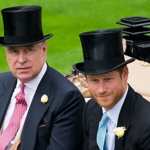 Udario ga je u lice i raskrvario mu nos: Loš odnos princa Endrua i Harija uništila je 3 godine kasnije – Megan Markl