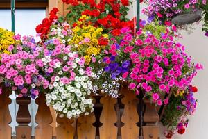 Kako iskoristiti ostatke hrane kao đubrivo za biljke? 3 jednostavna metoda koji štede novac i pružaju injekciju zdravlja