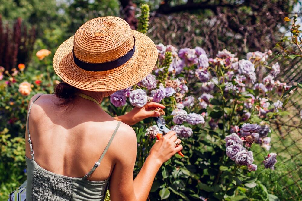 foto: Mariia Boiko/Shutterstock