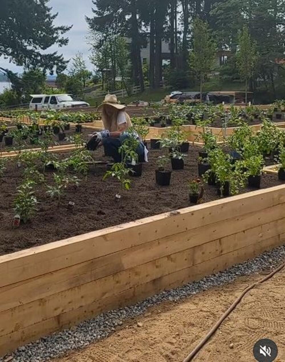 Pamela Anderson praktikuje permakulturno baštovanstvo