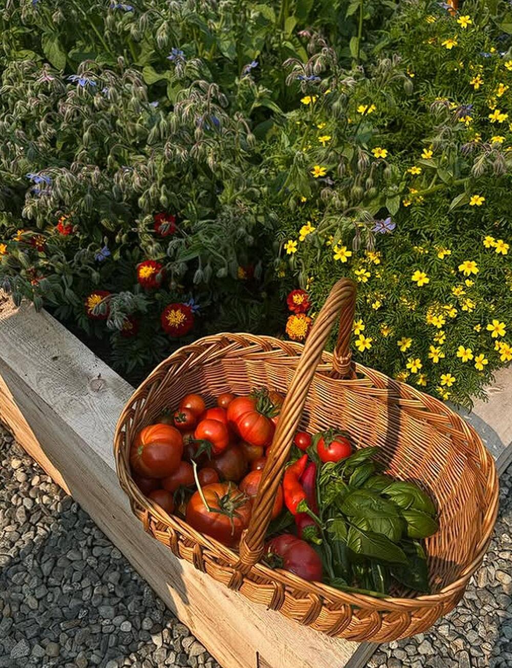 Pamela Anderson se često hvali svojom savršeno uređenom i bogatom baštom punom organskog povrća