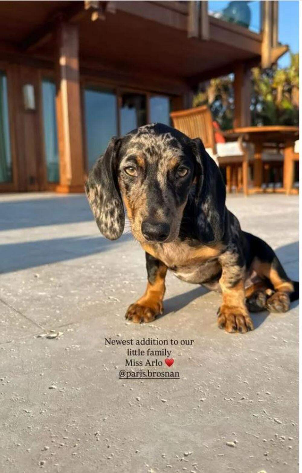 STIGLA PRINOVA U DOM PIRSA BROSNANA 