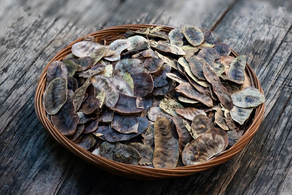 Suvi listovi sene za čaj