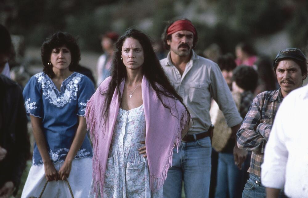 Brazilska glumica Sonja Braga