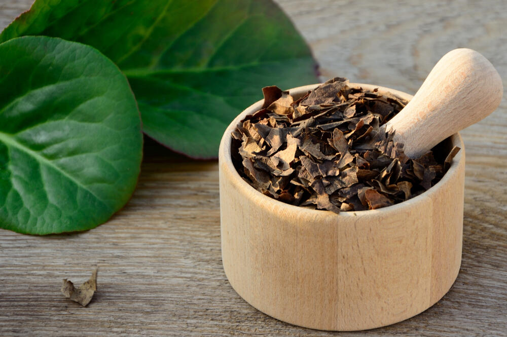 Osušeni i usitnjeni listovi biljke slonovo uvo