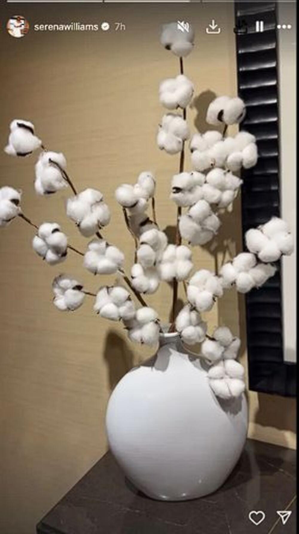 Serena Vilijams podelila je da joj je zasmetala dekoracija od grančica pamuka u hotelu u Njujorku