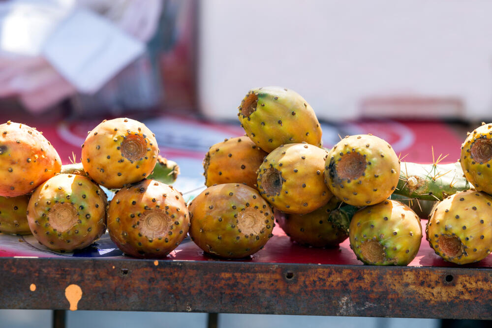 Opuncija (indijska smokva) na tezgi