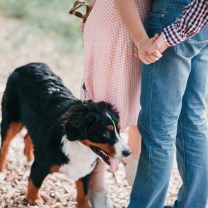 Zašto vas pas čeka ispred vrata kupatila dok ste u njemu? Postoje dva objašnjenja, a zbog oba ćete se rastopiti
