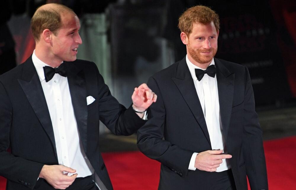 Prinčevi Vilijam i Hari