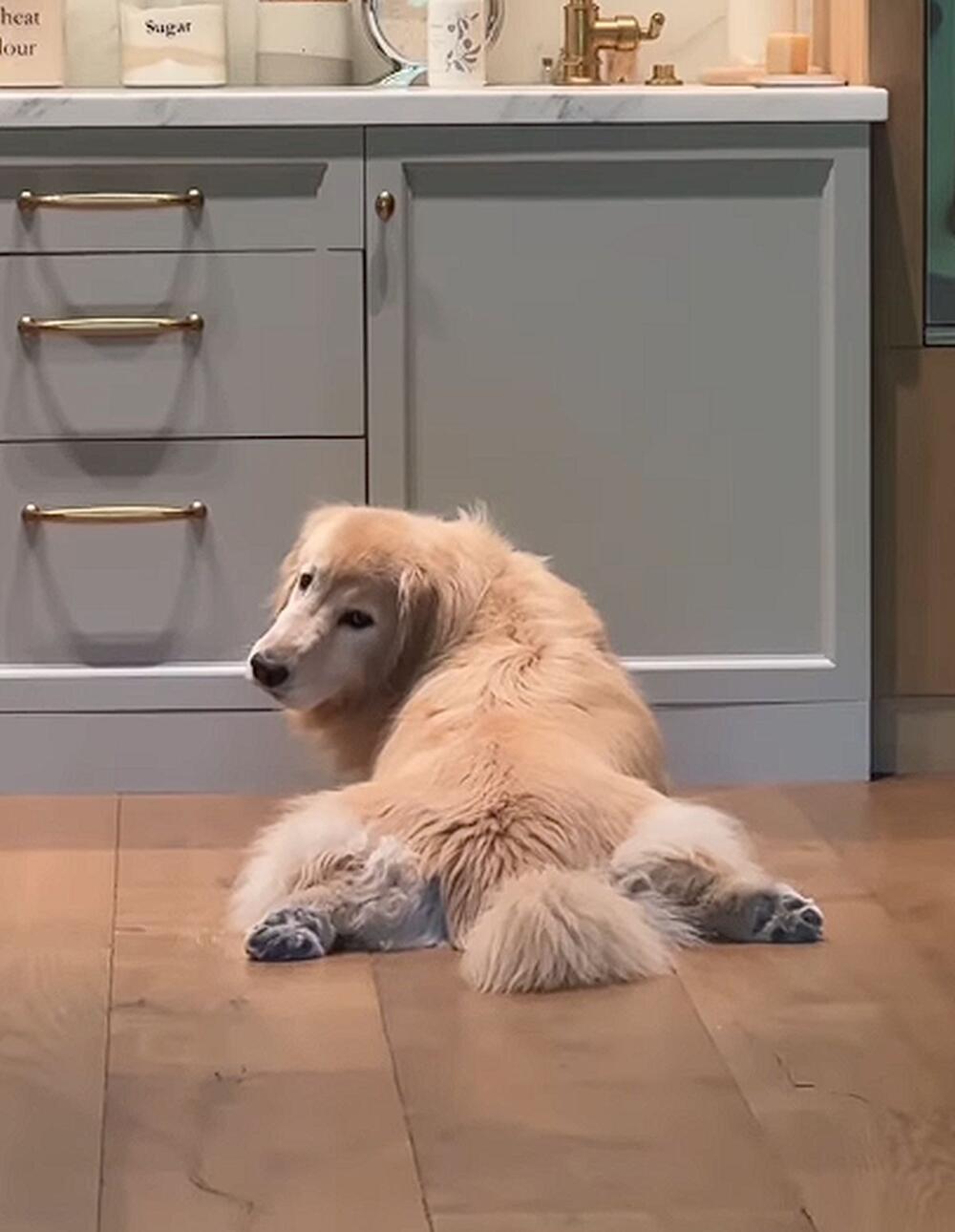 Puderastoplava kuhinja Dženifer Garner