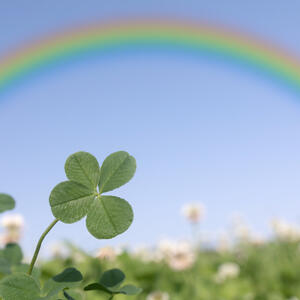 Nekim znakovima će 2026. doneti sreću! 3 znaka odmah mugu da se raduju, a evo zašto je važan 26. april