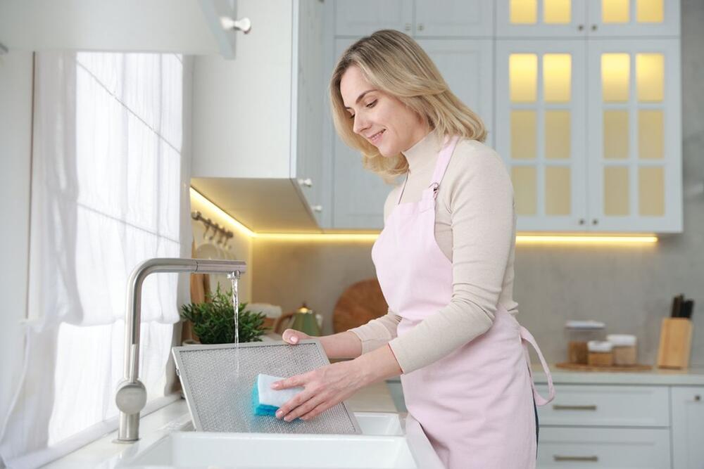 ASPIRATOR SE MOŽE OČISTITI I BEZ HEMIKALIJA 