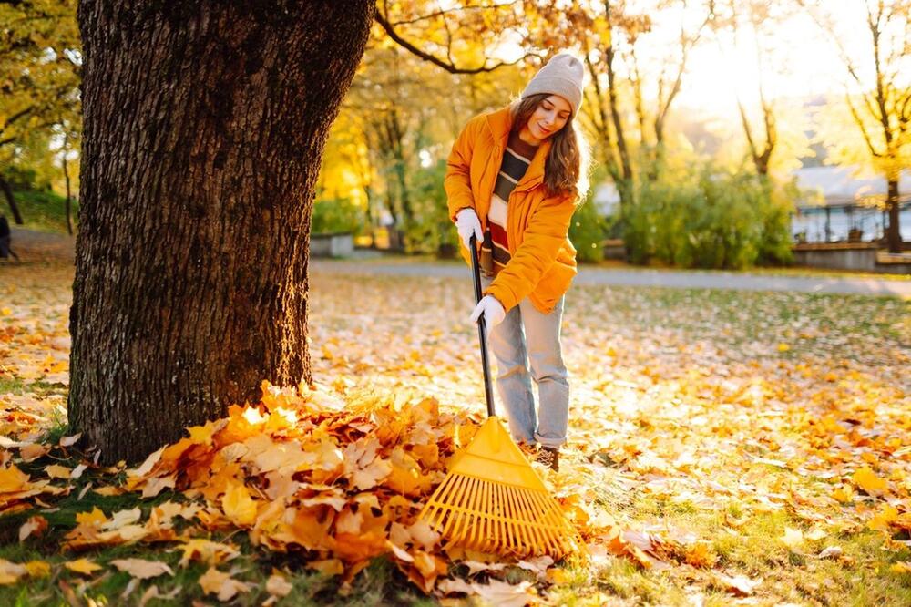 JESENJA GREŠKA KOJU PRAVI I ISKUSNI BAŠTOVANI