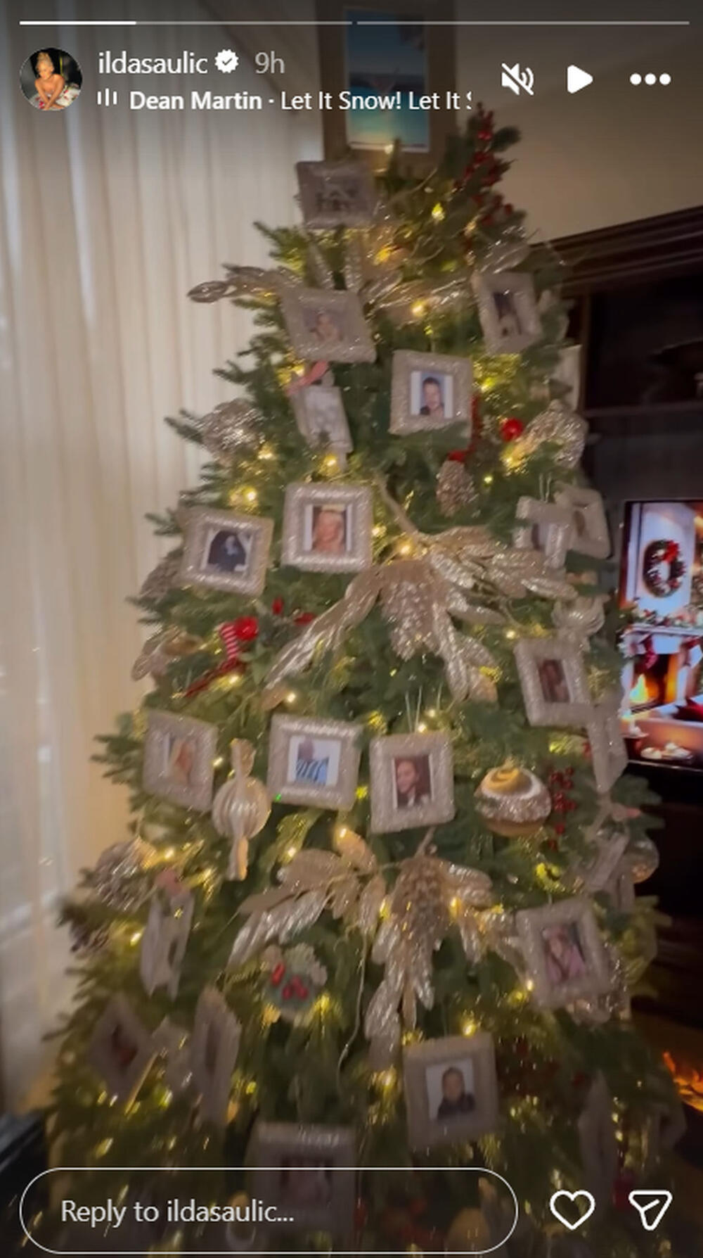 Ilda Šaulić, Novogodišnja jelka