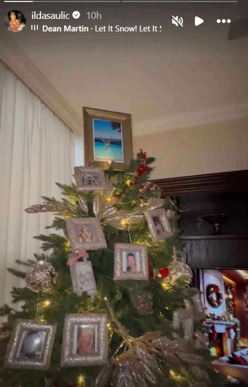 Ilda Šaulić, Novogodišnja jelka