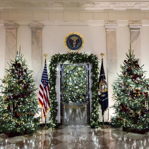 10.000 leptira i 2.800 zlatnih zvezda su samo deo raskoši: Melanija Tramp pokazala novogodišnju dekoraciju Bele kuće