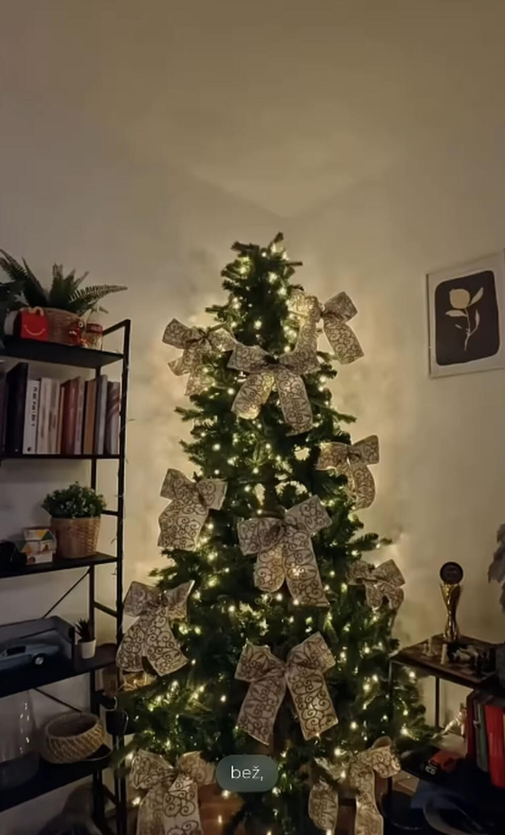 Ela Dvornik, Novogodišnja jelka