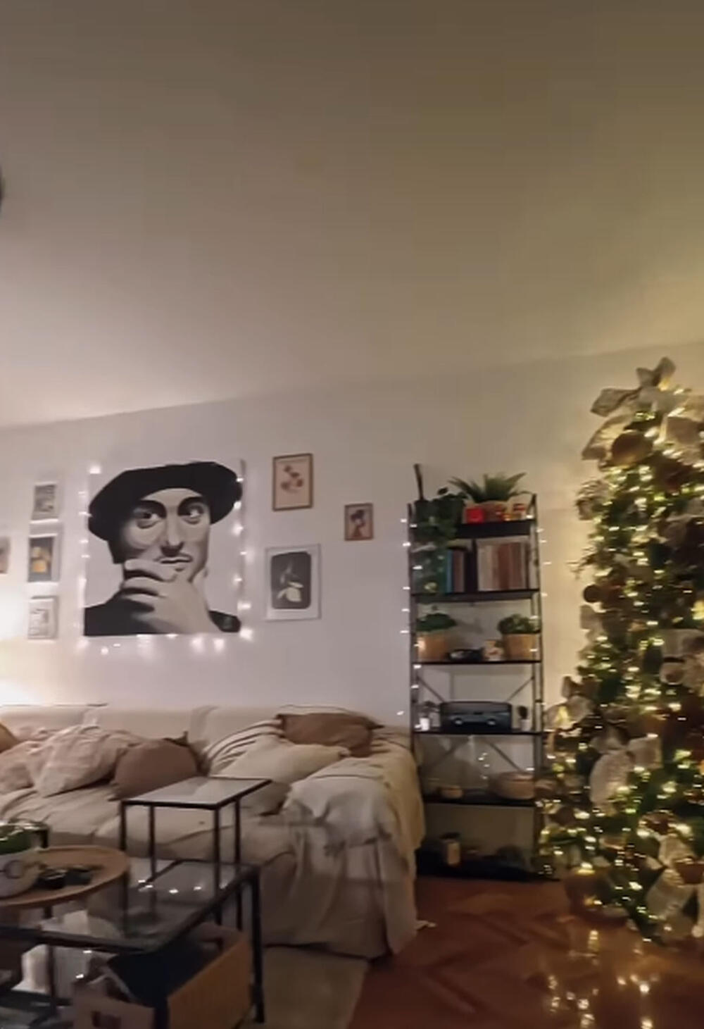 Ela Dvornik, Novogodišnja jelka, Dino Dvornik