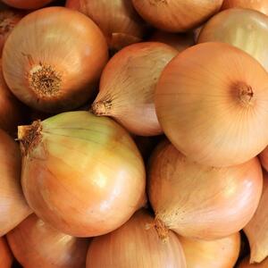 Presecite glavicu crnog luka na 12 delova: Običaj za Badnje veče kojim su preci predviđali budućnost